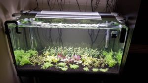 Aquael LEDDY SLIM PLANT 5W