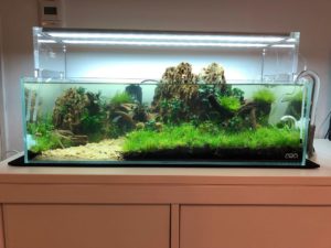 ADA AQUASKY 602