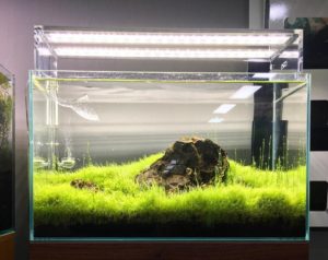 ADA AQUASKY 602