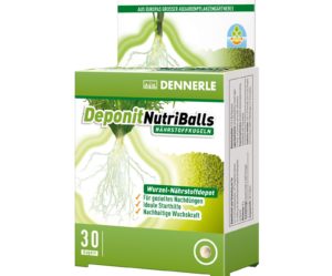 Dennerle Deponit NutriBalls