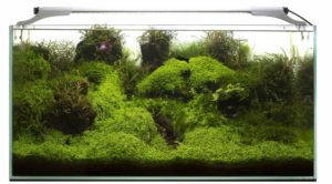 Aquael LEDDY SLIM PLANT 5W
