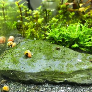 Жёсткость и буферные свойства воды