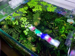 Жёсткость и буферные свойства воды