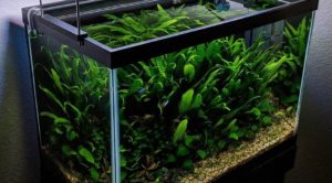 Разбираемся с жесткостью и буферными свойствами воды