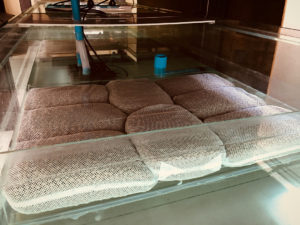 Биологическая фильтрация