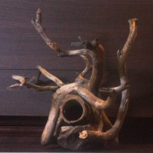 Коряга