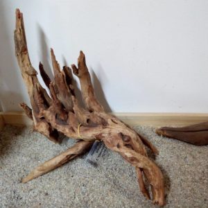 Коряга